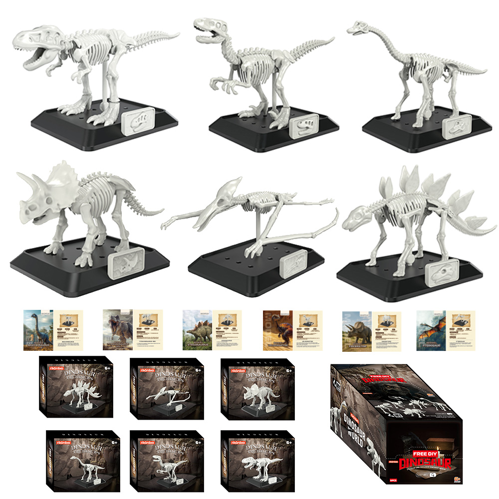 Model Kit Dinosaur - Simulatie Dinosaurus Fossiel Plastic Skeletmodel Kinderen