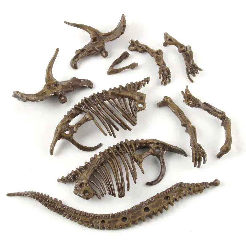 Dinosaurusopgraving Fossiele a - Model Kit Dinosaur recensie en prijs